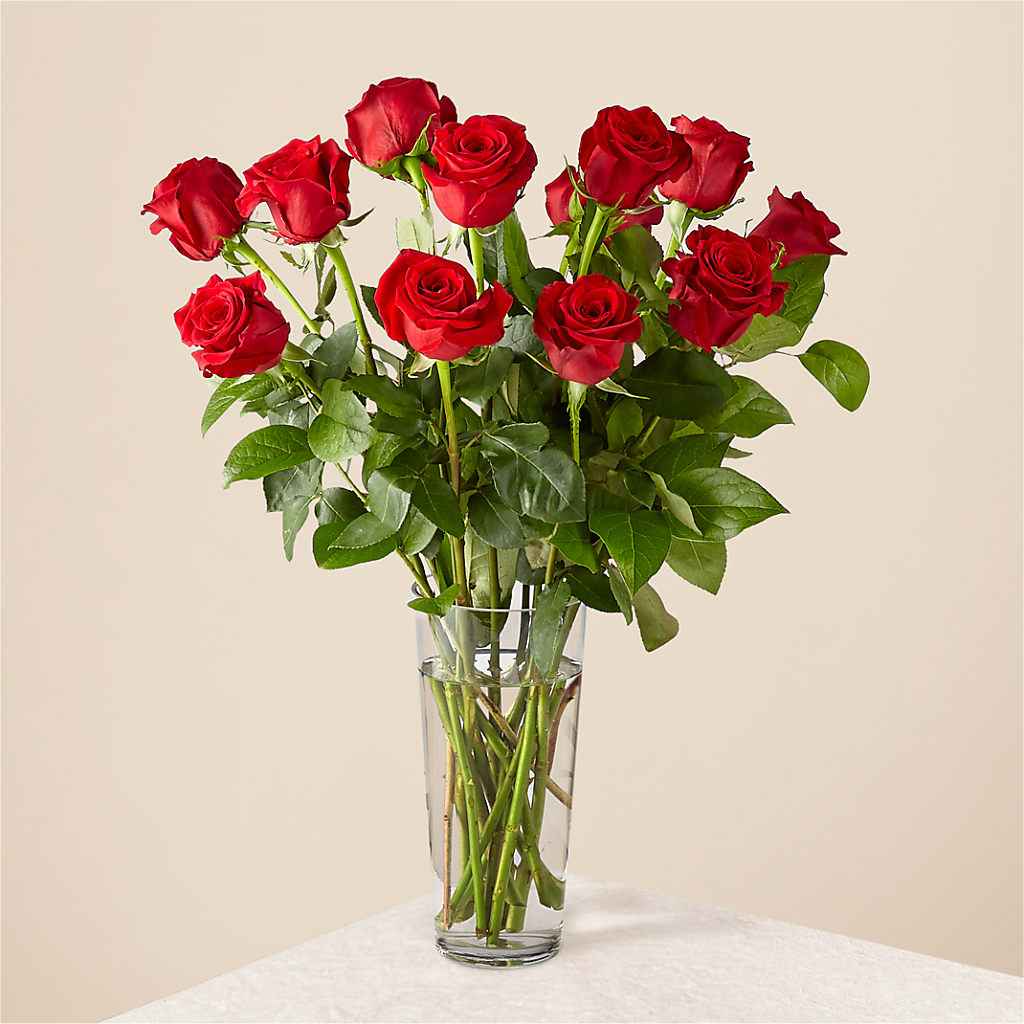 Long Stem Red Rose Bouquet – Moda Flowers, Guaynabo PR