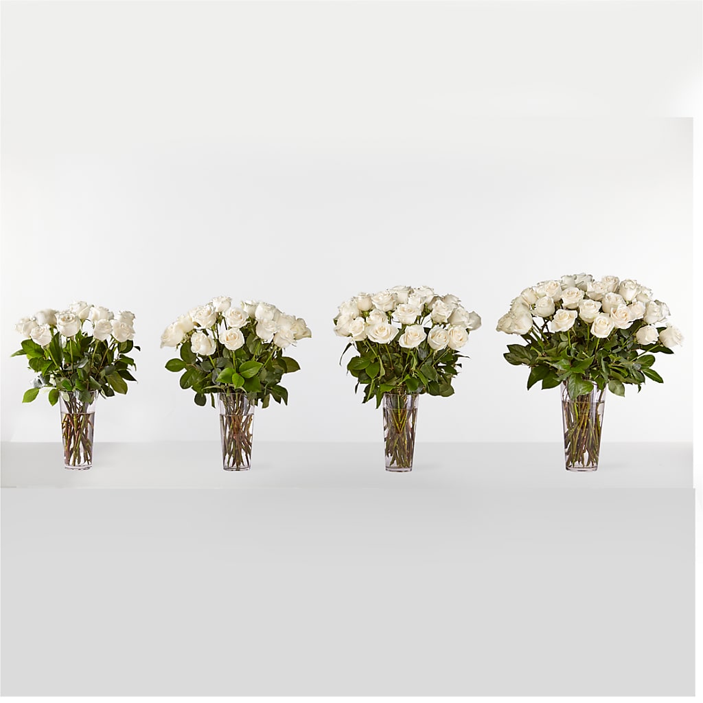 Long Stem White Rose Bouquet – Moda Flowers, Guaynabo PR