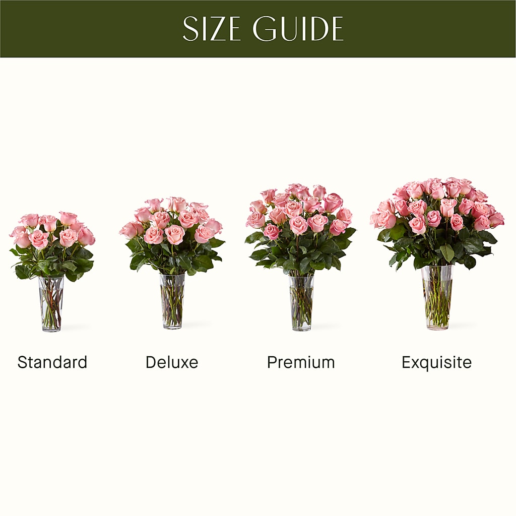 Long Stem Pink Rose Bouquet – Moda Flowers, Guaynabo PR