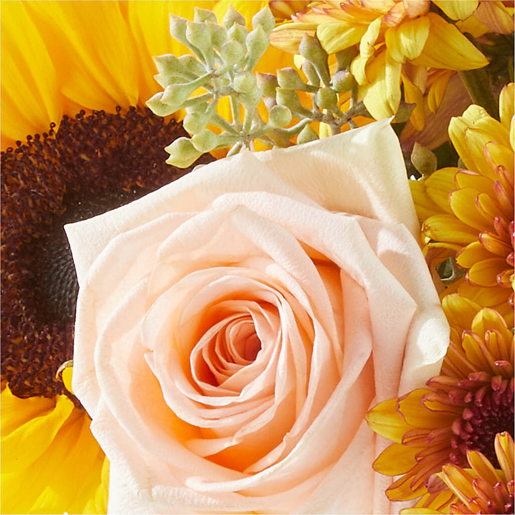 Pumpkin to Talk About Bouquet – Moda Flowers, Guaynabo PR
