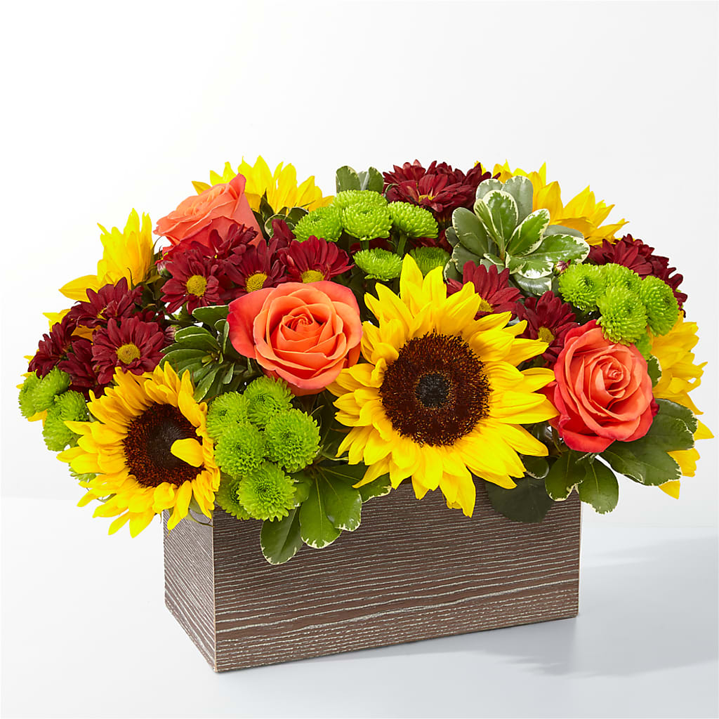 Happy Harvest Garden – Moda Flowers, Guaynabo PR