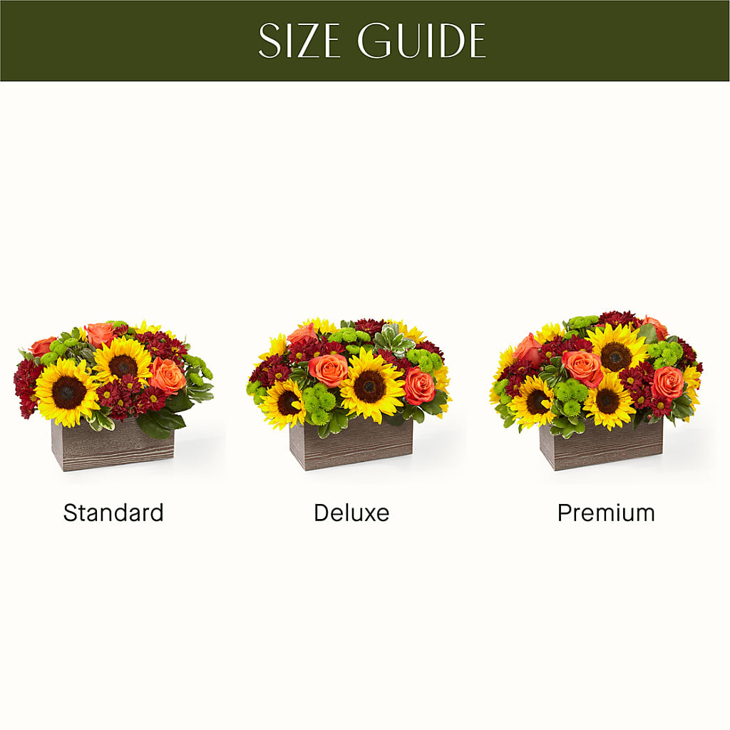 Happy Harvest Garden – Moda Flowers, Guaynabo PR