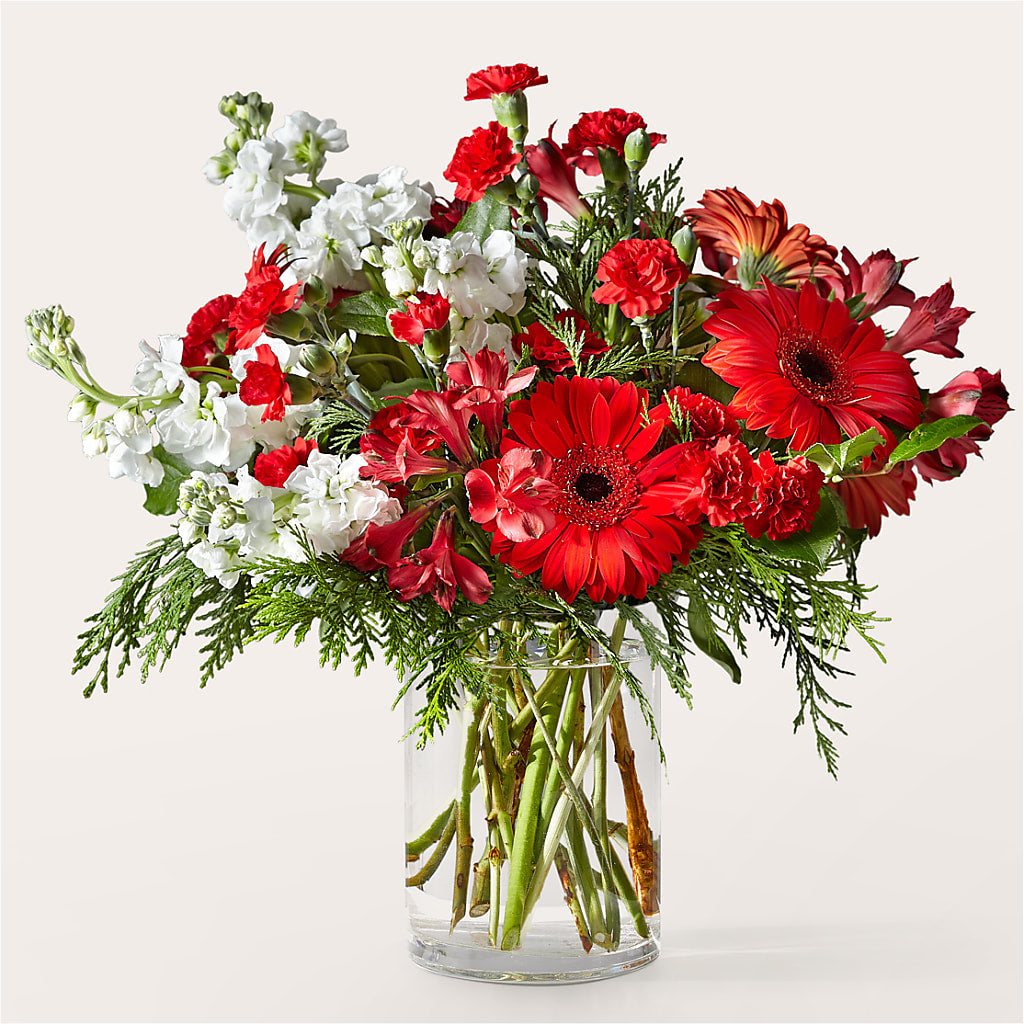 Holidaisy Bouquet – Moda Flowers, Guaynabo PR