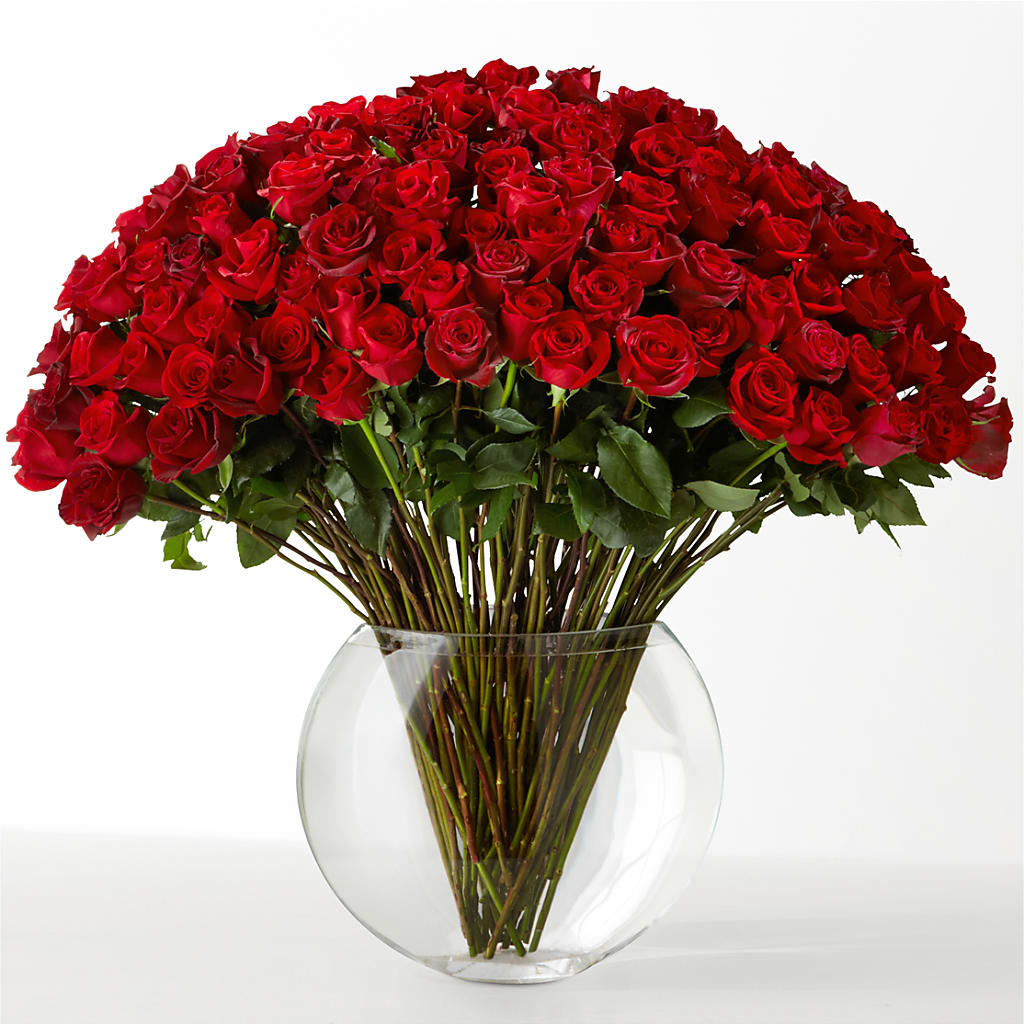 The Idealist – Moda Flowers, Guaynabo PR