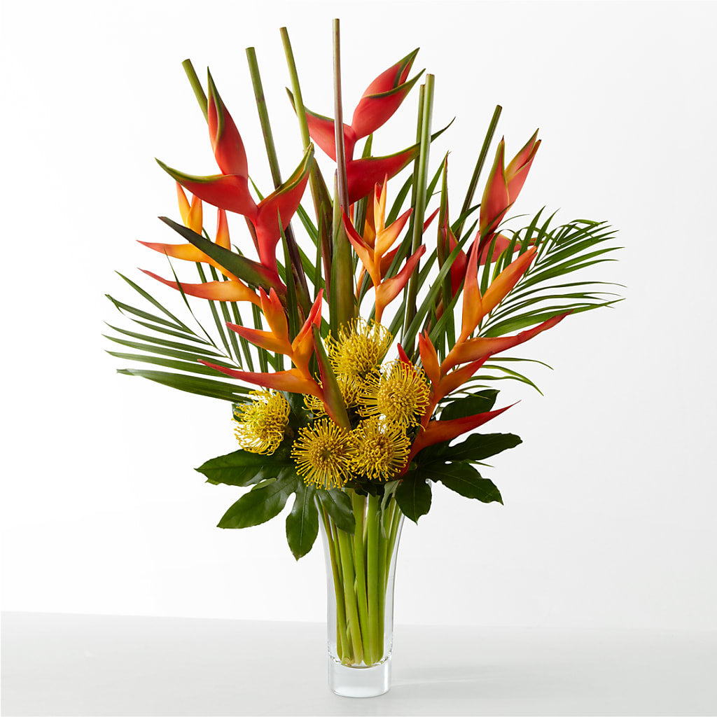The Drama – Moda Flowers, Guaynabo PR