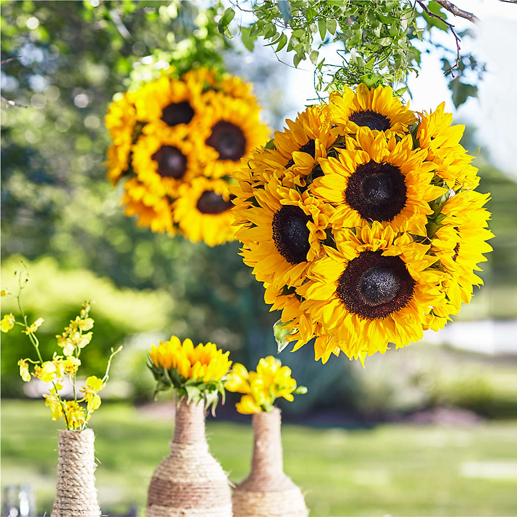 Sublime Garden Hanging Arrangement – Moda Flowers, Guaynabo PR
