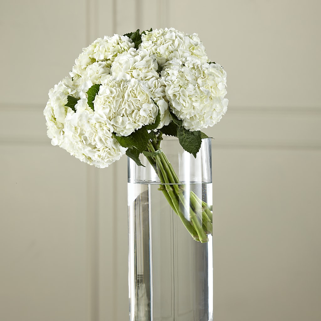White Hydrangea Hand-Tied Bouquet – Moda Flowers, Guaynabo PR