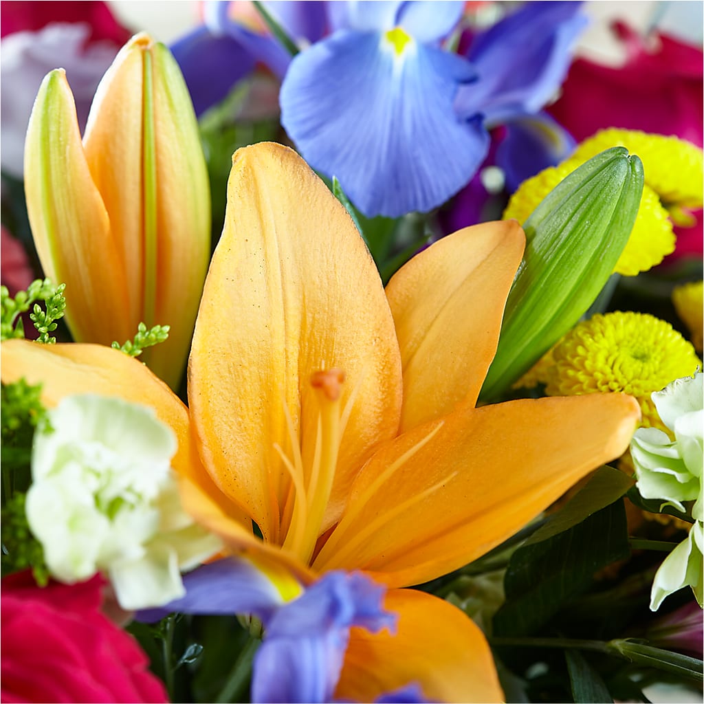 Bold & Bright – A Florist Original –  Moda Flowers, Guaynabo PR
