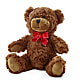 Adorable Plush Bear –  Moda Flowers, Guaynabo PR