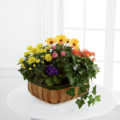 Gentle Blossoms Basket –  Moda Flowers, Guaynabo PR
