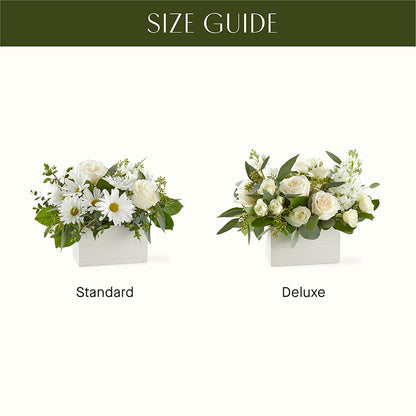 Fresh Linen Box Bouquet –  Moda Flowers, Guaynabo PR
