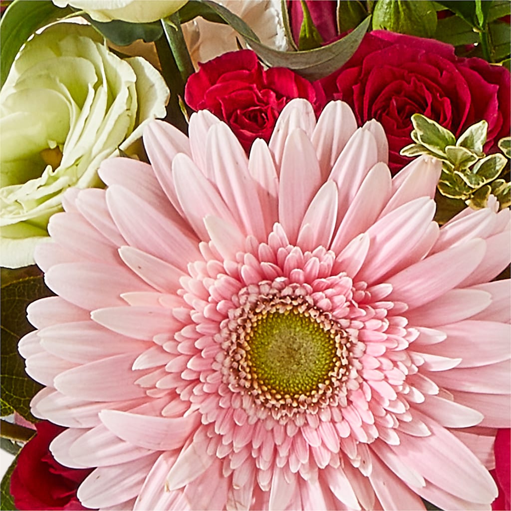 Too Cute Bouquet –  Moda Flowers, Guaynabo PR