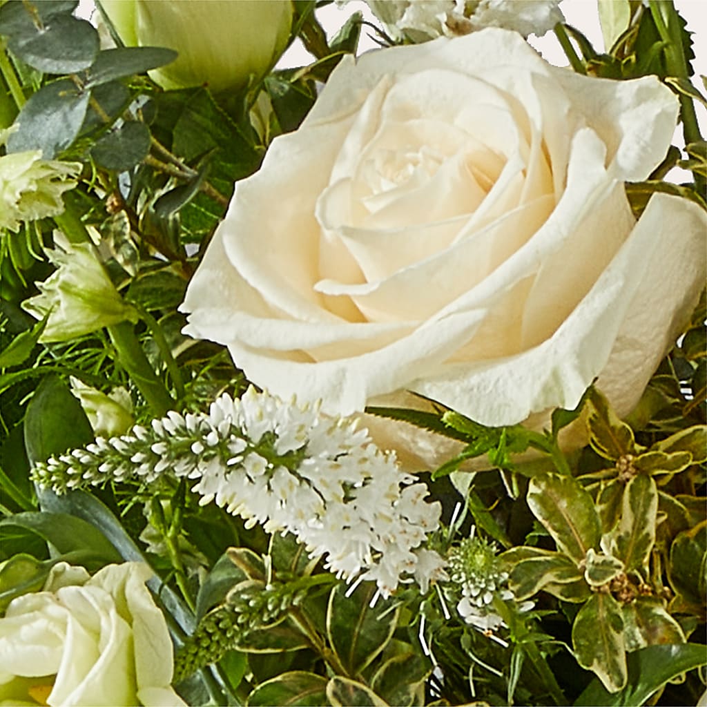 Cashmere Bouquet –  Moda Flowers, Guaynabo PR