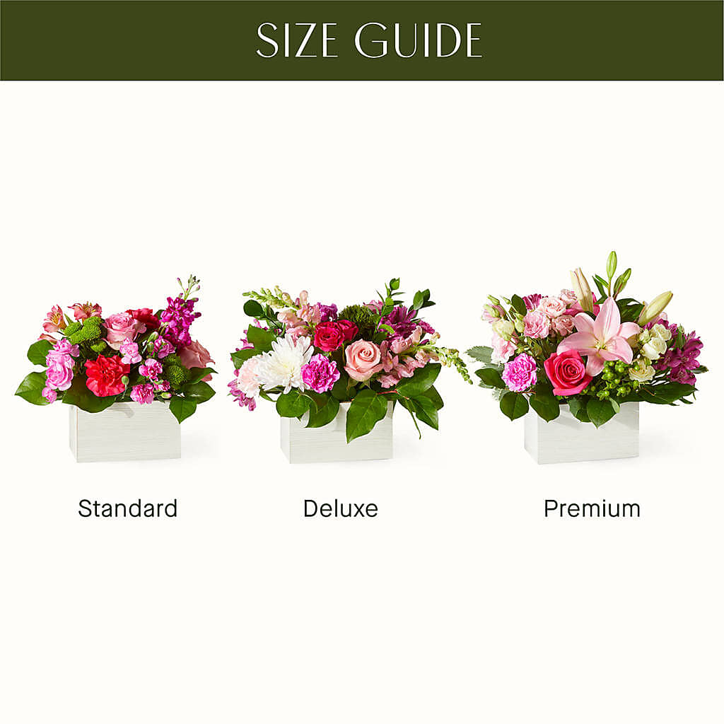 Sweetberry Box – A Florist Original –  Moda Flowers, Guaynabo PR