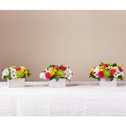 Sorbet Bouquet –  Moda Flowers, Guaynabo PR