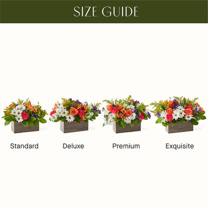 Oopsie Daisy Box Bouquet –  Moda Flowers, Guaynabo PR