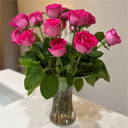 Long Stem Pink Rose Bouquet –  Moda Flowers, Guaynabo PR