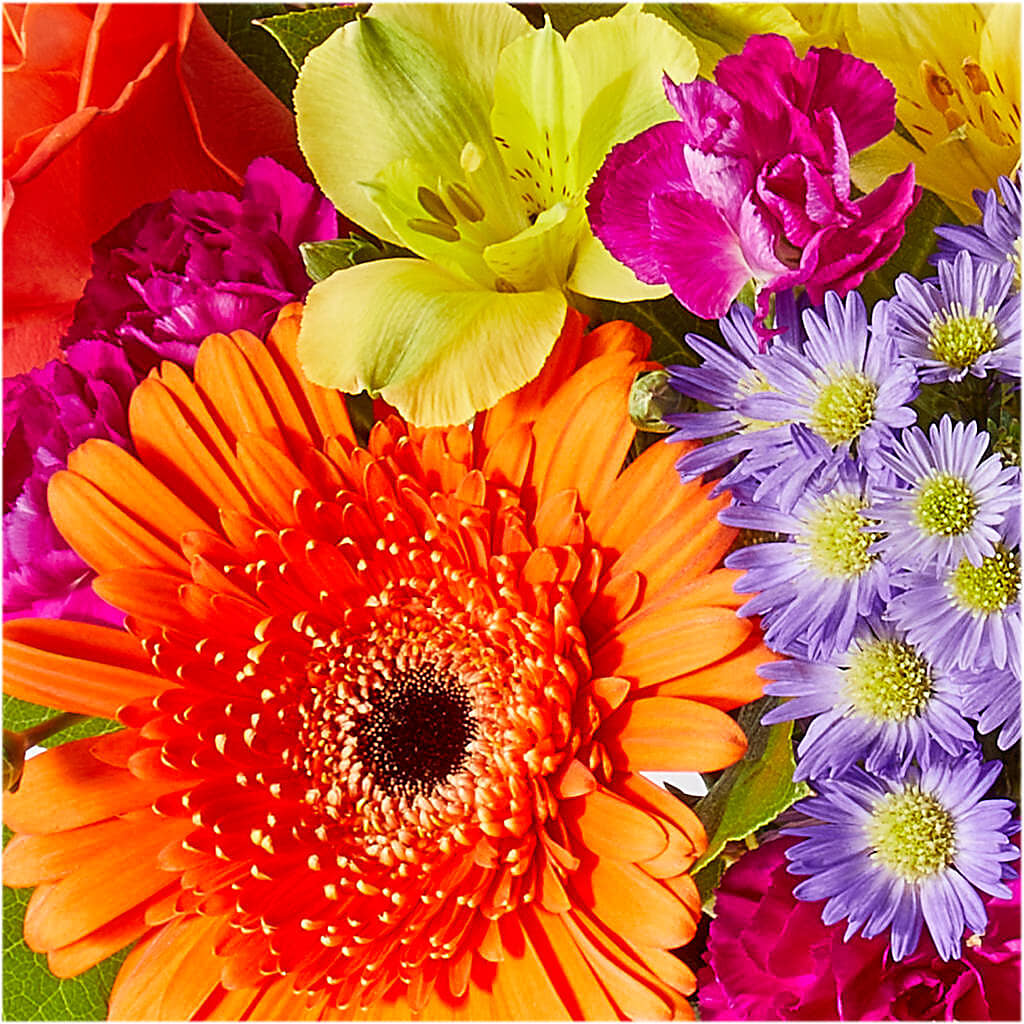 Tricks & Treats Pumpkin –  Moda Flowers, Guaynabo PR