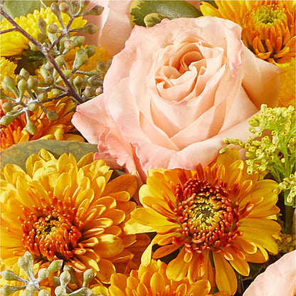 Peachy Pumpkin –  Moda Flowers, Guaynabo PR