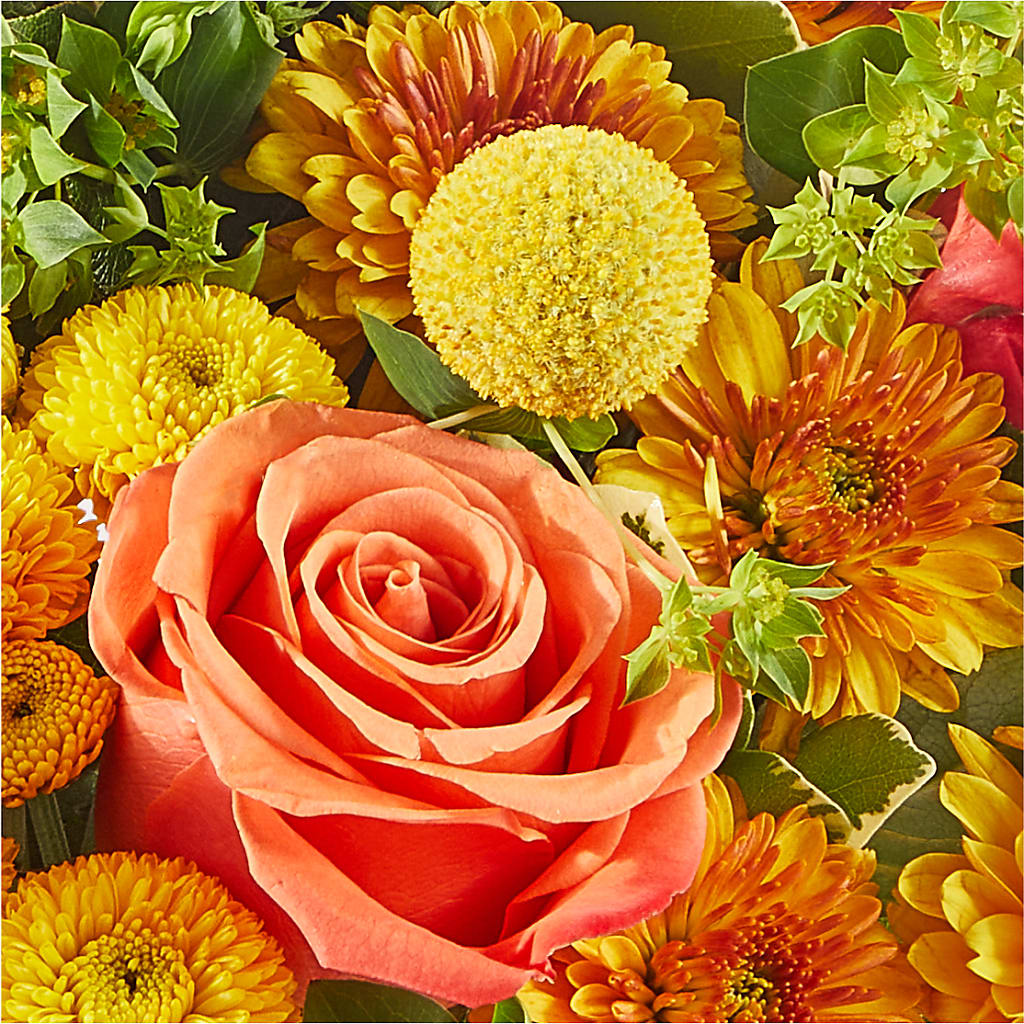 Gourdgeous Pumpkin –  Moda Flowers, Guaynabo PR