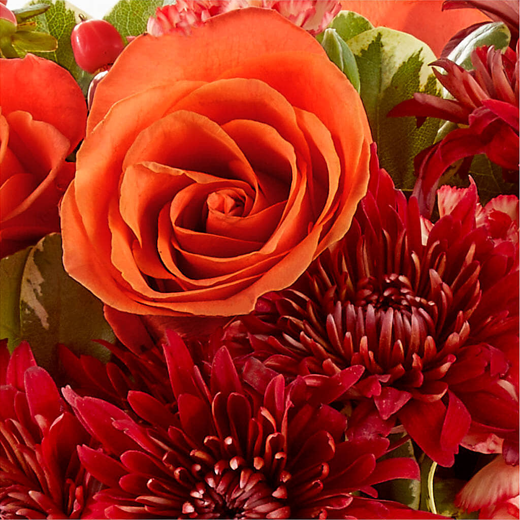 Autumn Air Pumpkin Bouquet –  Moda Flowers, Guaynabo PR