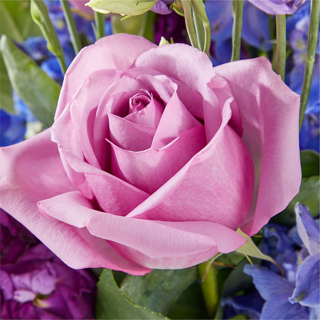 Twilight Glow Bouquet –  Moda Flowers, Guaynabo PR
