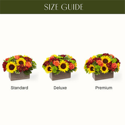 Happy Harvest Garden –  Moda Flowers, Guaynabo PR