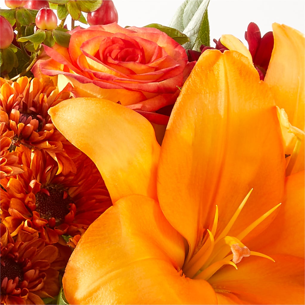 Backyard Bonfire Bouquet –  Moda Flowers, Guaynabo PR