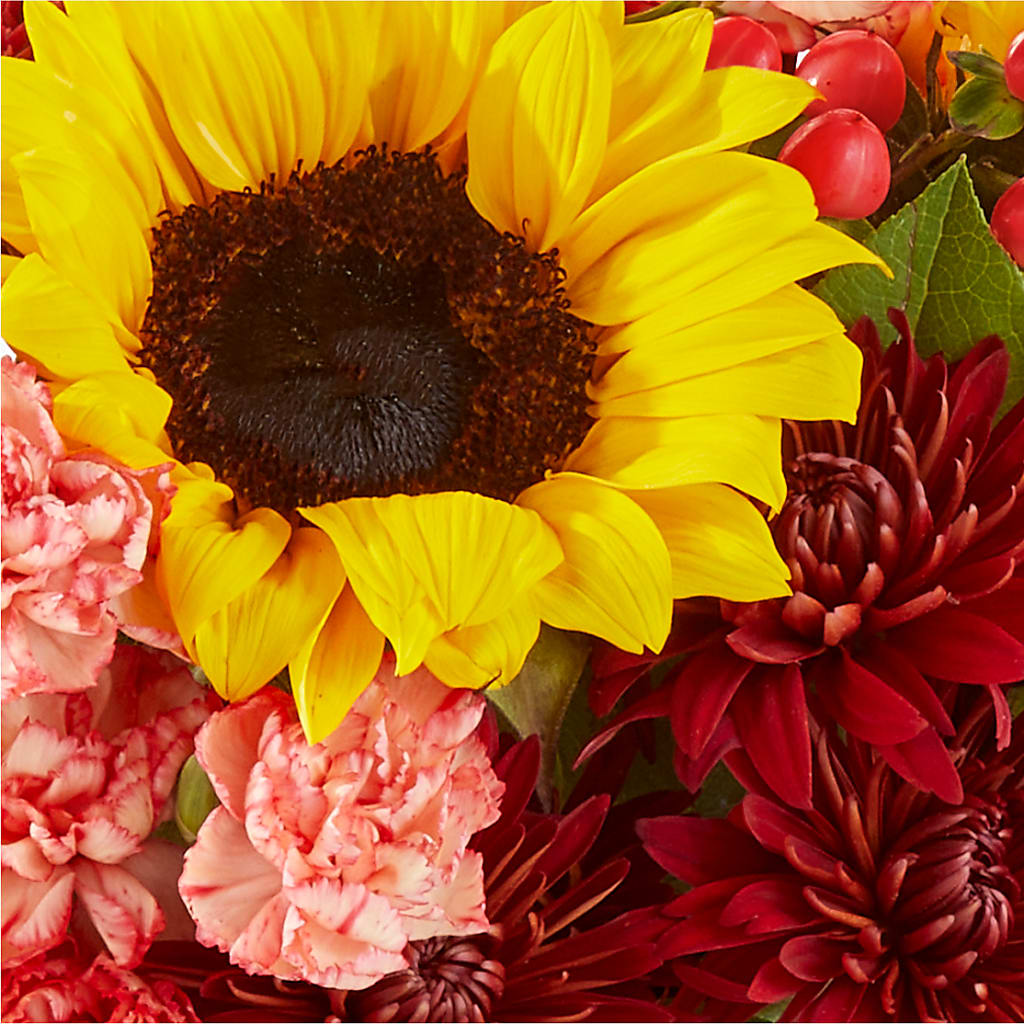 Fresh Cider Bouquet –  Moda Flowers, Guaynabo PR