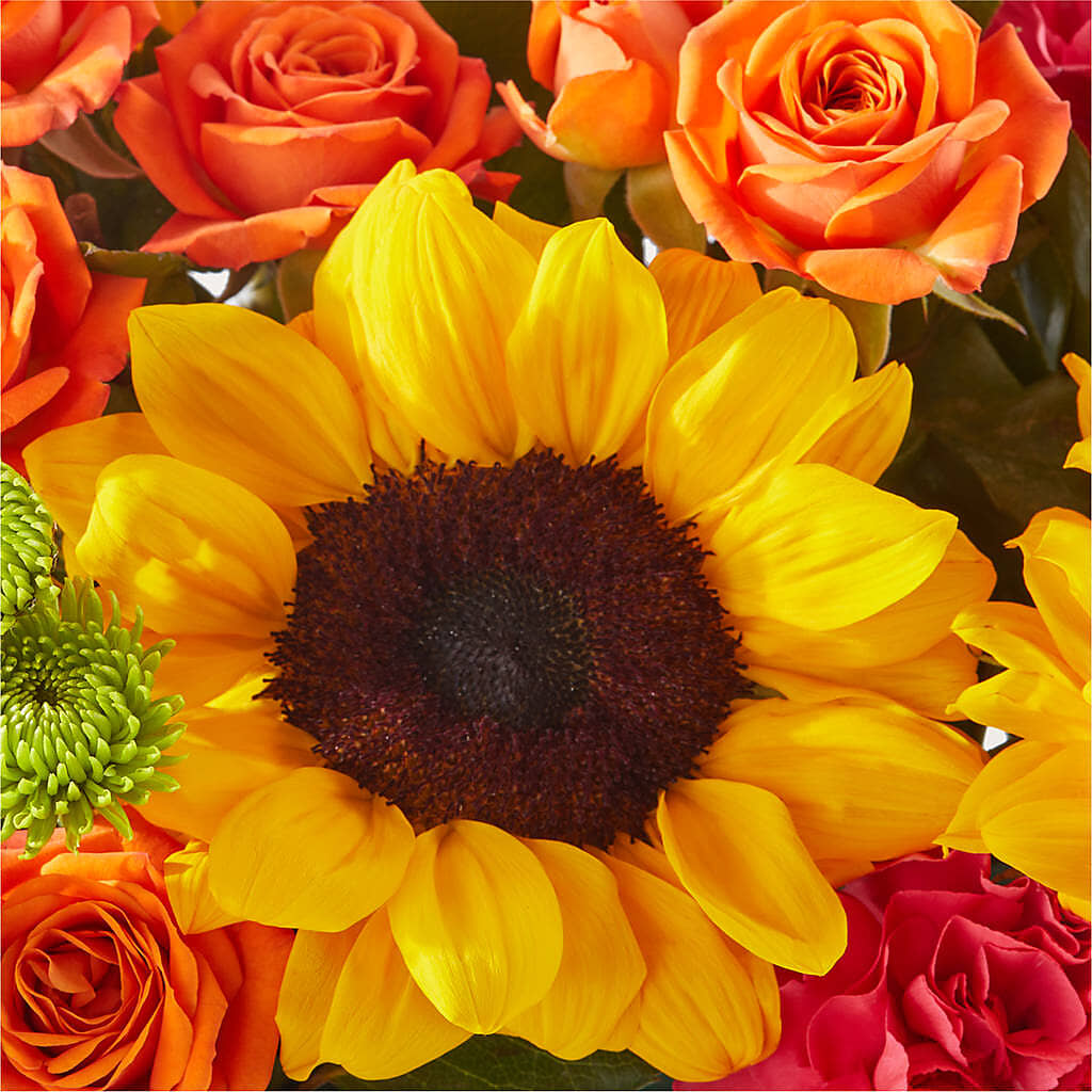 Sun-drenched Blooms Box Bouquet –  Moda Flowers, Guaynabo PR