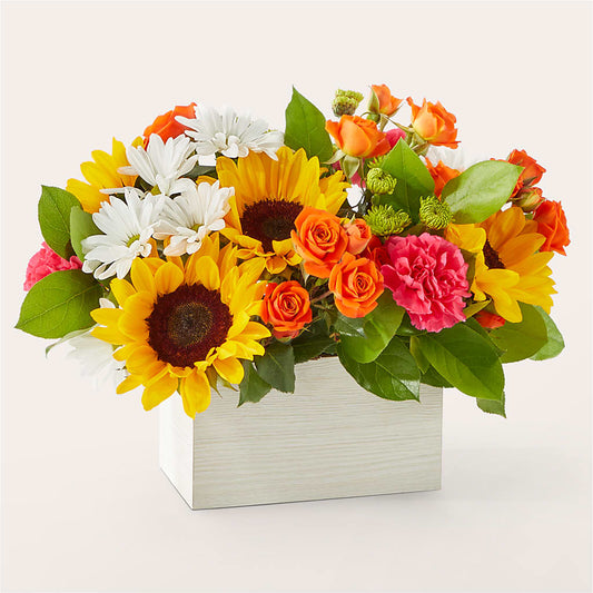Sun-drenched Blooms Box Bouquet – MODA FLOWERS, Guaynabo PR
