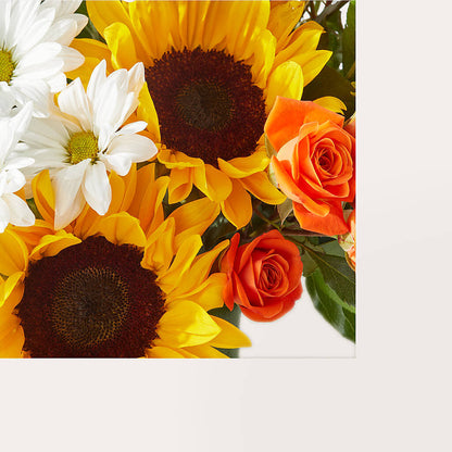 Sun-drenched Blooms Box Bouquet –  Moda Flowers, Guaynabo PR