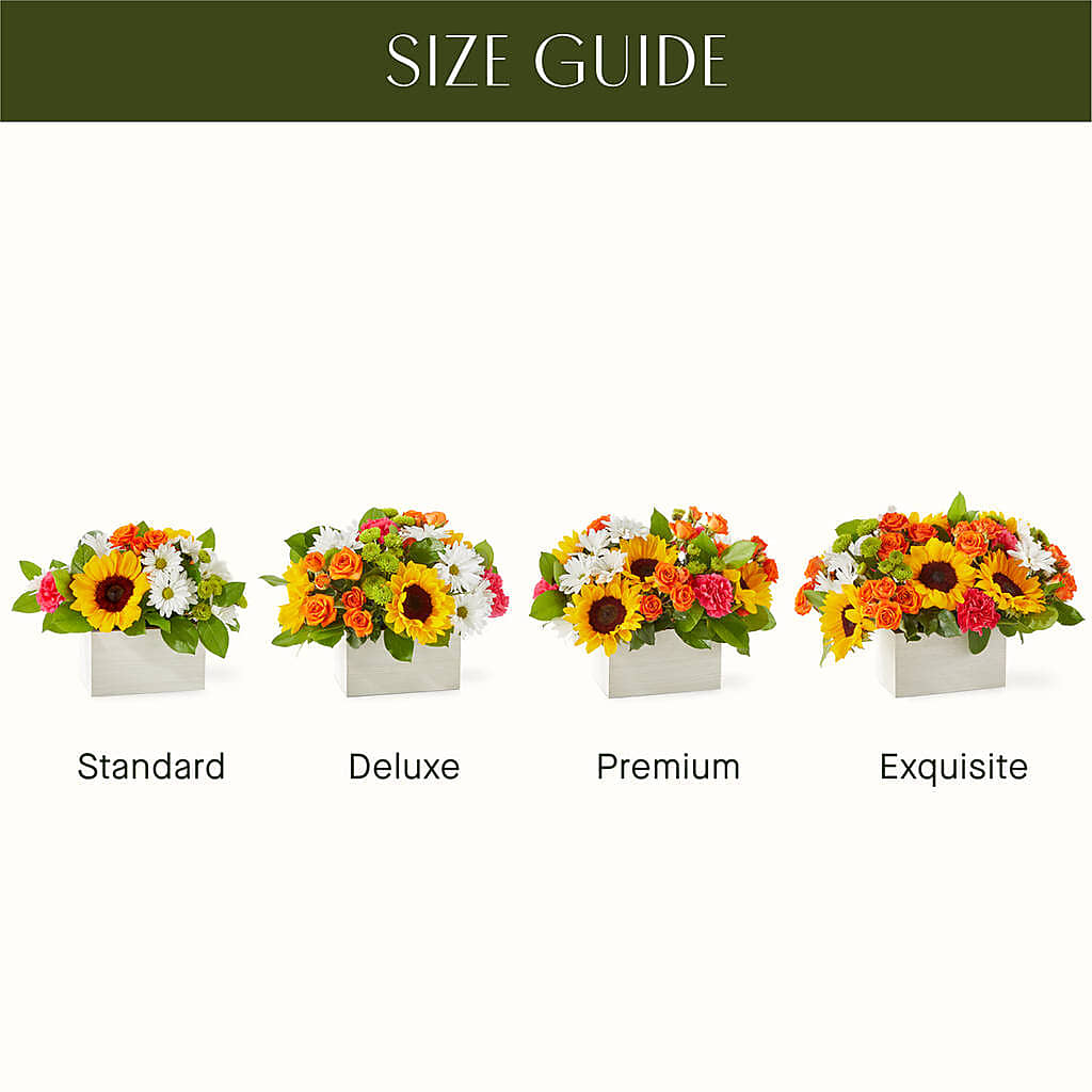 Sun-drenched Blooms Box Bouquet –  Moda Flowers, Guaynabo PR