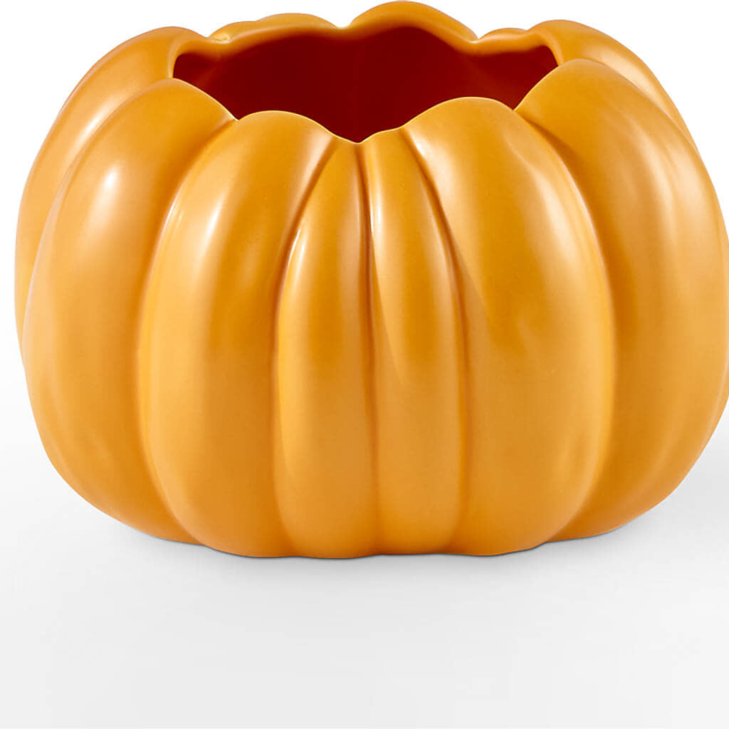 Golden Gourd Pumpkin Bouquet –  Moda Flowers, Guaynabo PR
