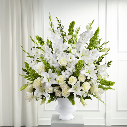 Morning Stars Arrangement –  Moda Flowers, Guaynabo PR