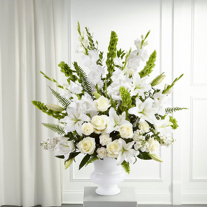 Morning Stars Arrangement –  Moda Flowers, Guaynabo PR