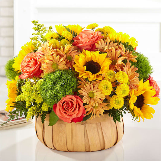 Harvest Sunflower Basket –  Moda Flowers, Guaynabo PR