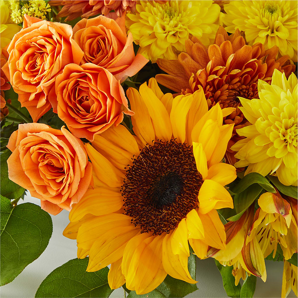 Autumn Harmony Centerpiece –  Moda Flowers, Guaynabo PR