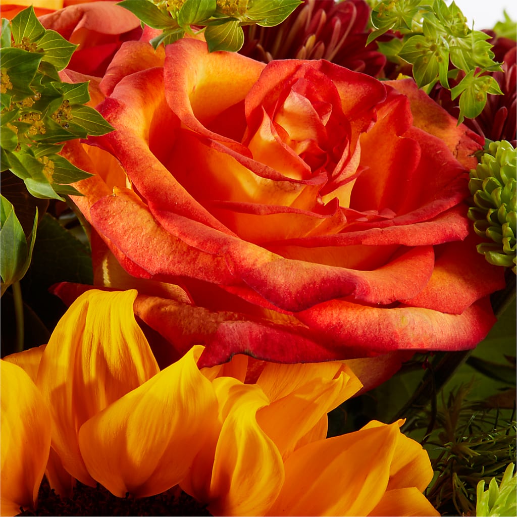 Harvest Festival Bouquet –  Moda Flowers, Guaynabo PR