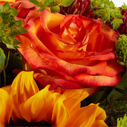 Harvest Festival Bouquet –  Moda Flowers, Guaynabo PR