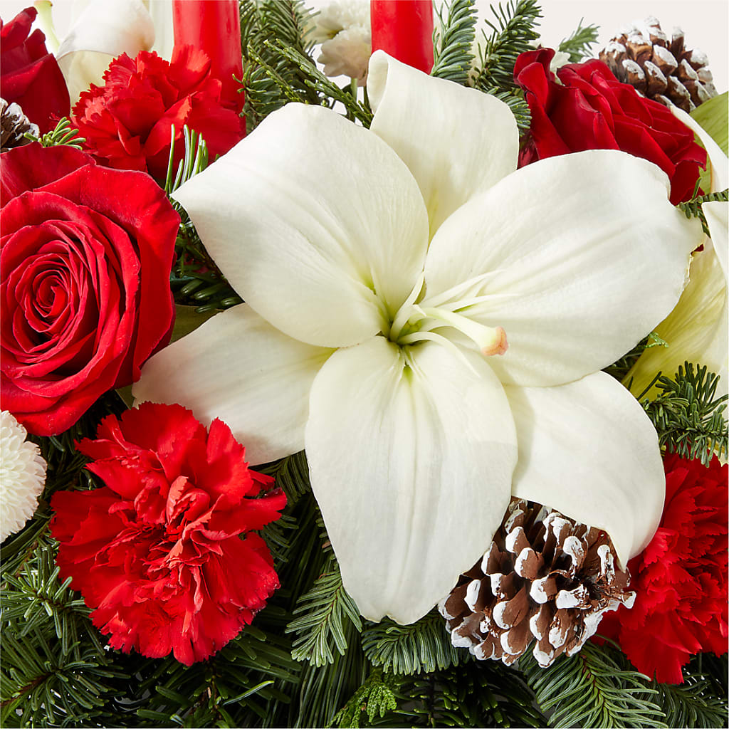 Seasonal Festivities Centerpiece –  Moda Flowers, Guaynabo PR