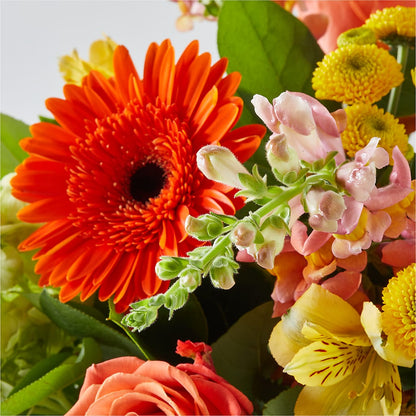 Autumn Sunshine Bouquet –  Moda Flowers, Guaynabo PR