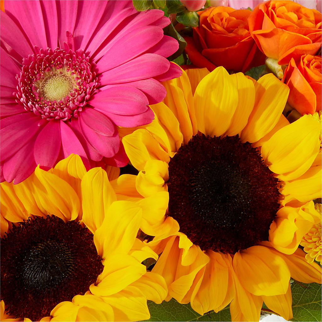 Beach Day Bouquet –  Moda Flowers, Guaynabo PR