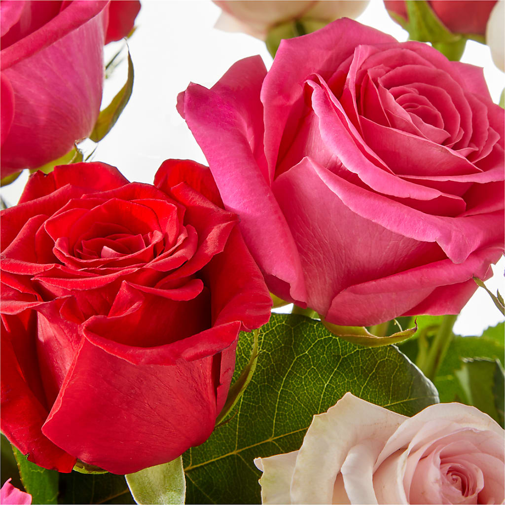 Charming Rose Bouquet –  Moda Flowers, Guaynabo PR
