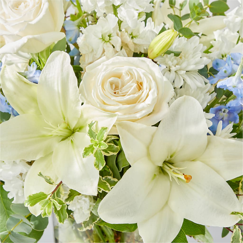 Peace of Mind Bouquet –  Moda Flowers, Guaynabo PR