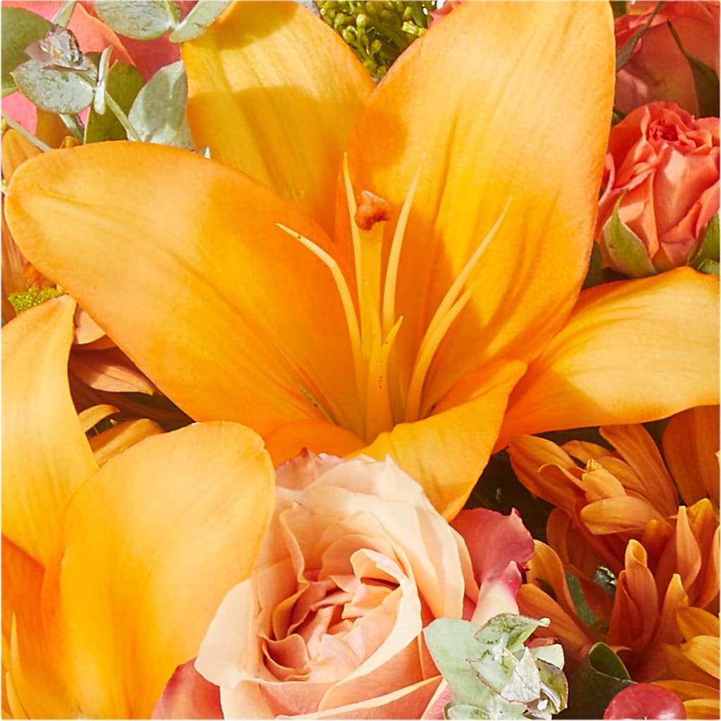 Harvest Hayride Bouquet –  Moda Flowers, Guaynabo PR