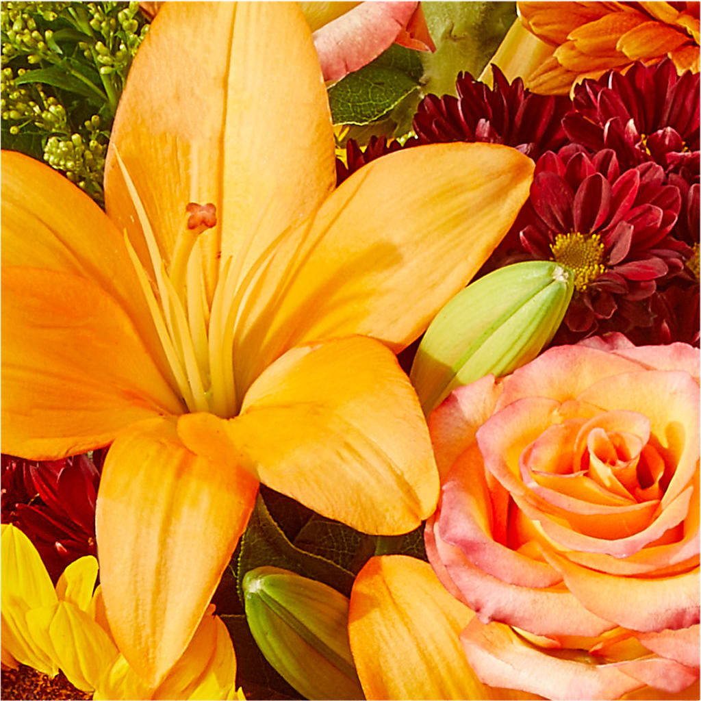 Seasons Change Bouquet –  Moda Flowers, Guaynabo PR