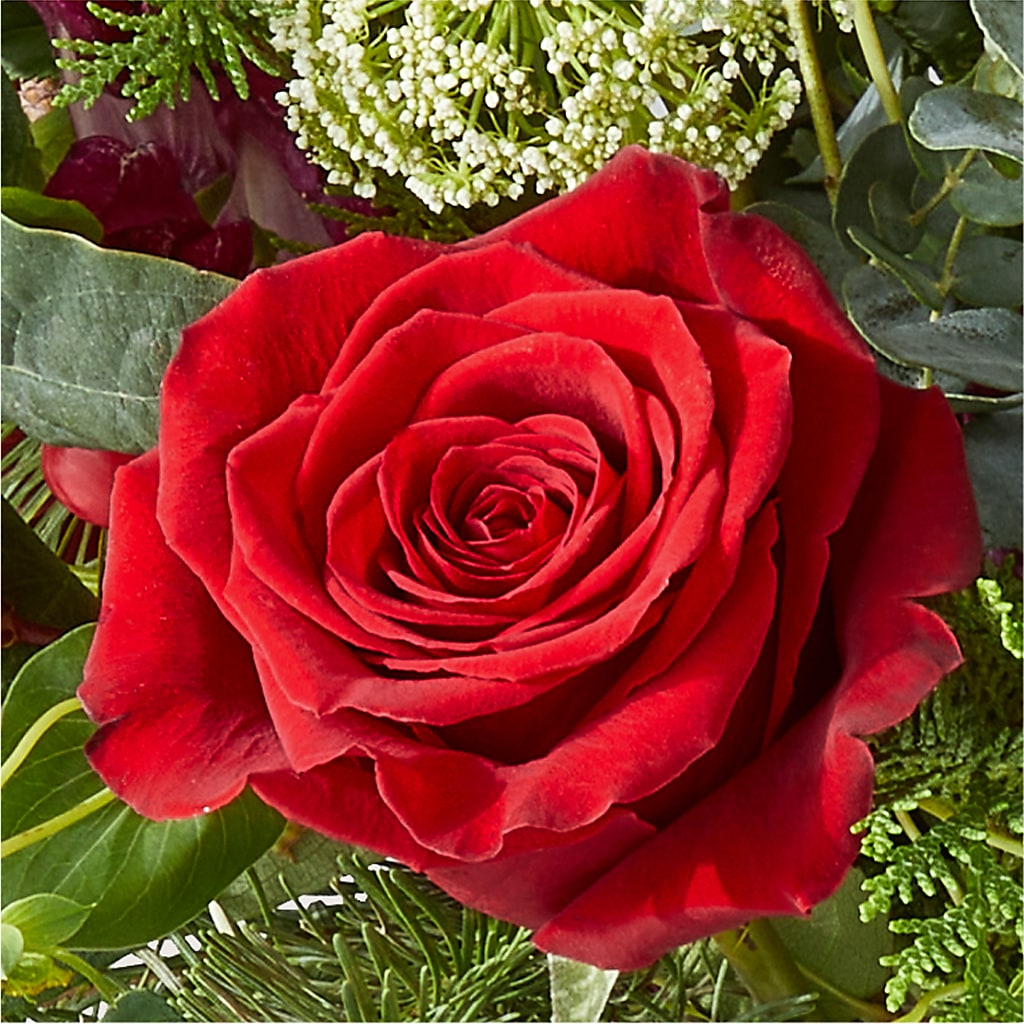Cranberry Fizz Bouquet –  Moda Flowers, Guaynabo PR