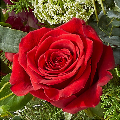 Cranberry Fizz Bouquet –  Moda Flowers, Guaynabo PR