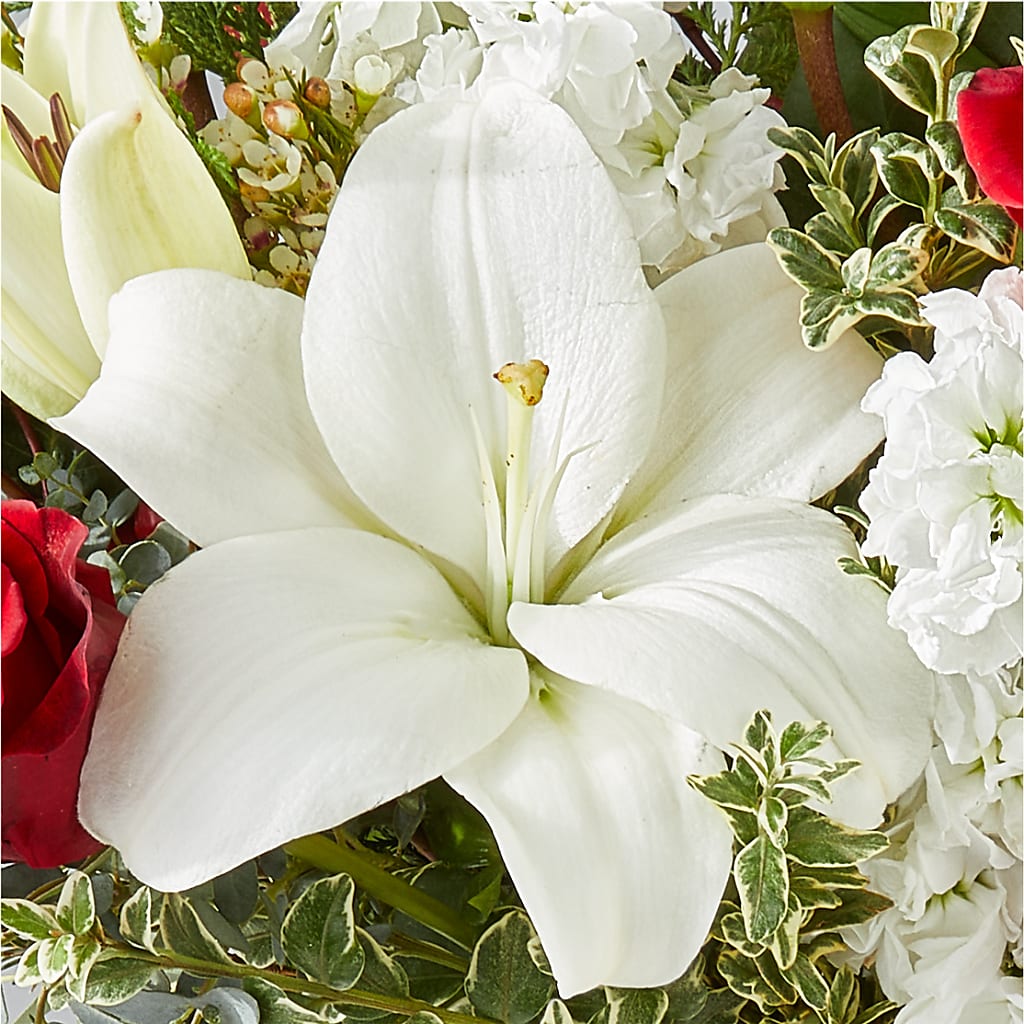 Twinkle Lights Bouquet –  Moda Flowers, Guaynabo PR